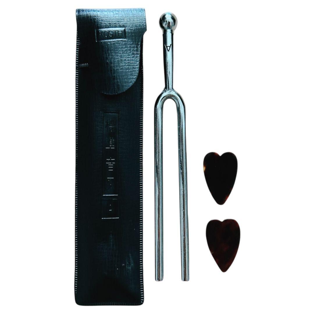 SUZUKI マンドリン M-218 1973年製 ハードケース付き 日本製