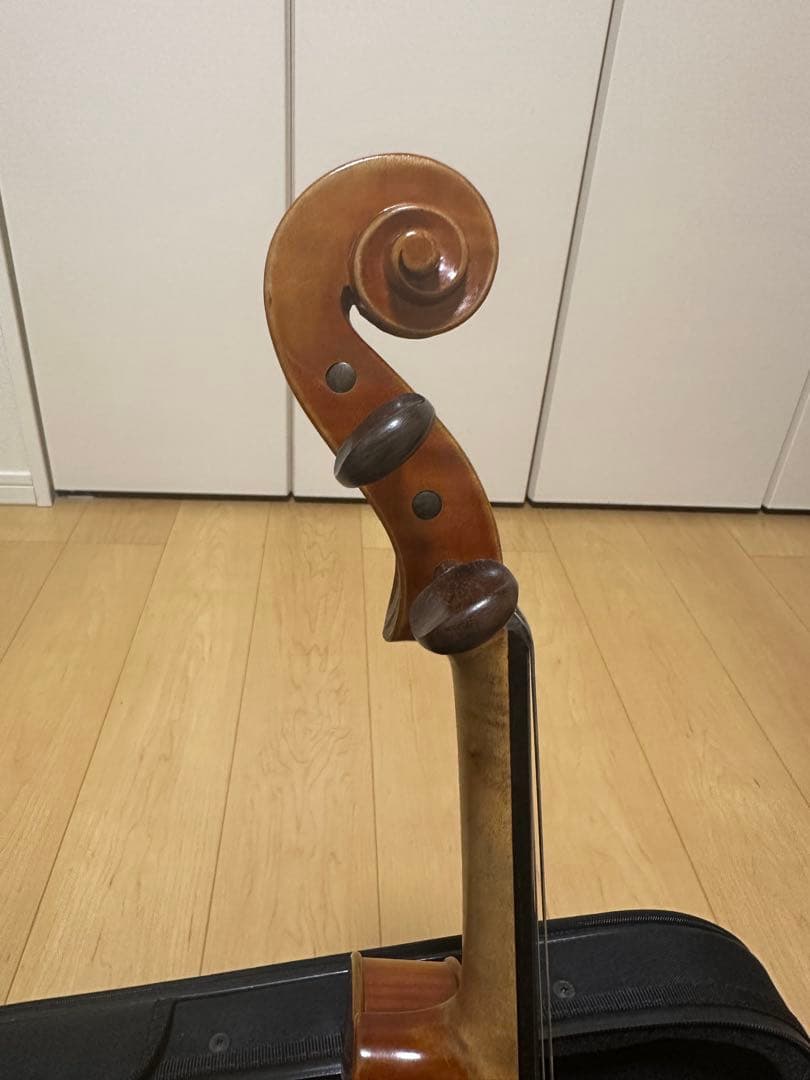 【ハンガリー製】４/4フルサイズ Ferenc Bela Vaci CDM-2