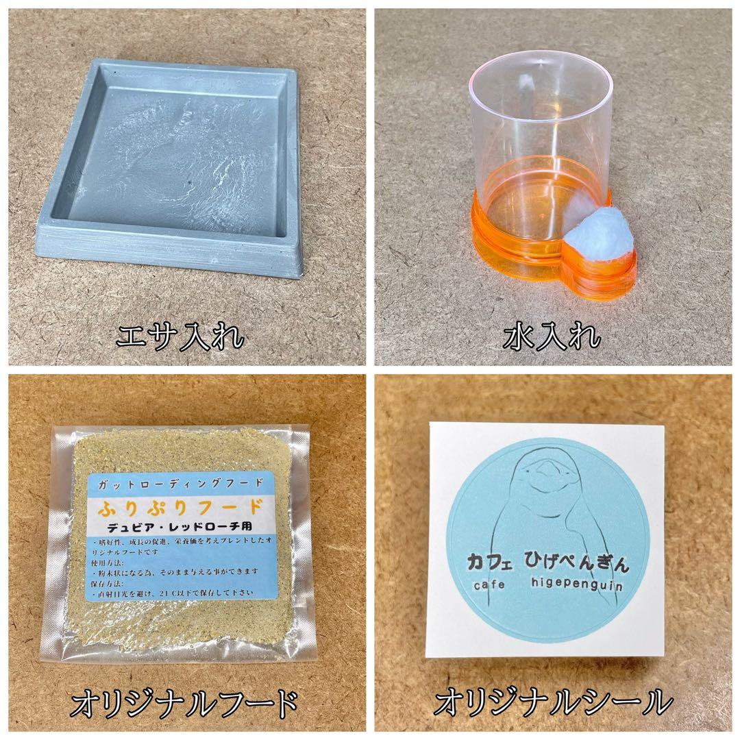 iReiNa様　S(フル)(コ)