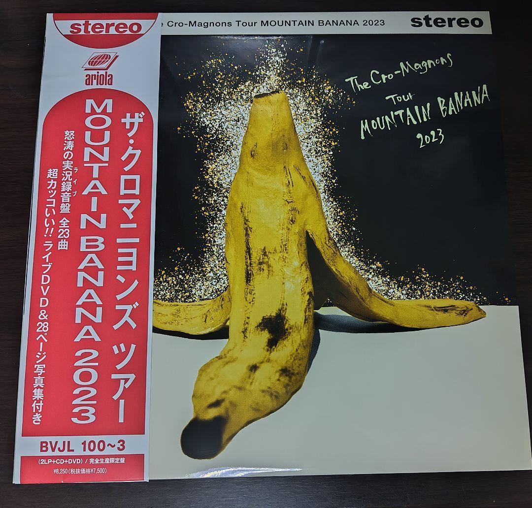 ザ・クロマニヨンズ レコードセット6枚