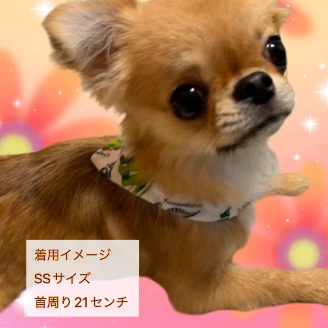 犬ネコ用リバーシブルバンダナ☆着用イメージ写真☆