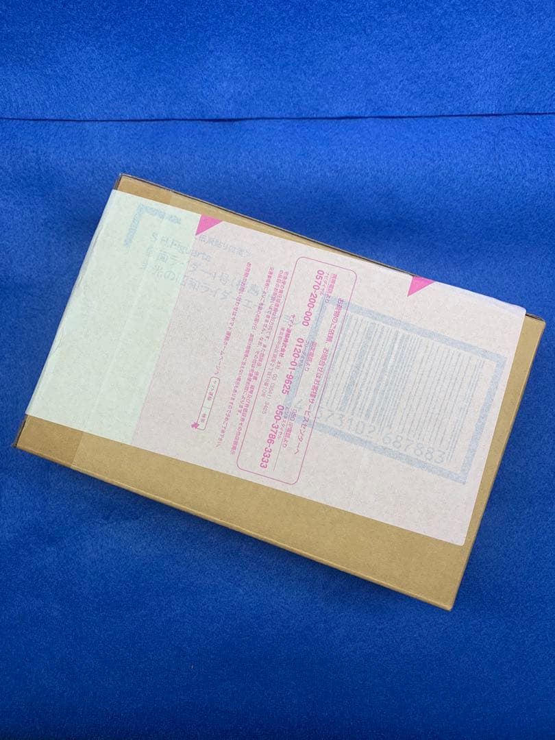 S.H.Figuarts（真骨彫製法）仮面ライダー1号（桜島Ver.）