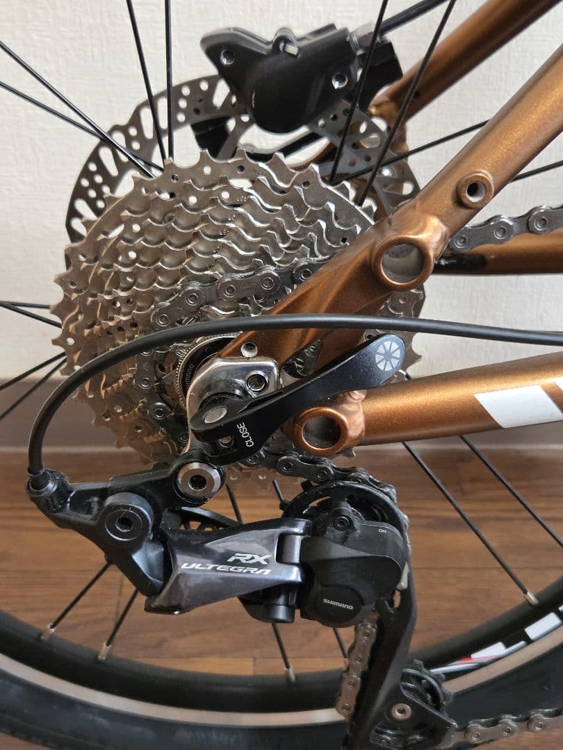 けんと1982　DAHON HORIZE 特別仕様カラー