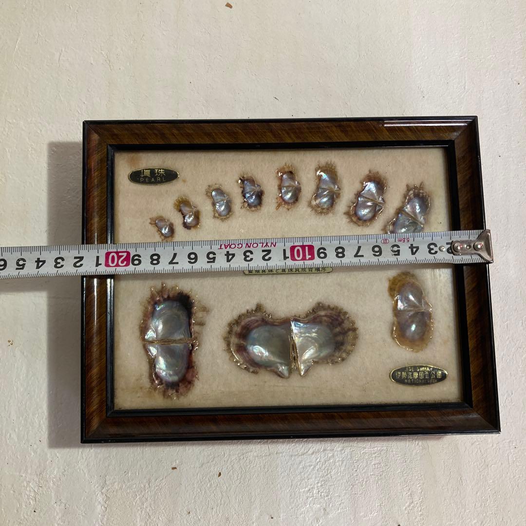 T*J様 伊勢志摩国立公園 ￼養殖真珠 標本 アートフレーム 昭和レトロ