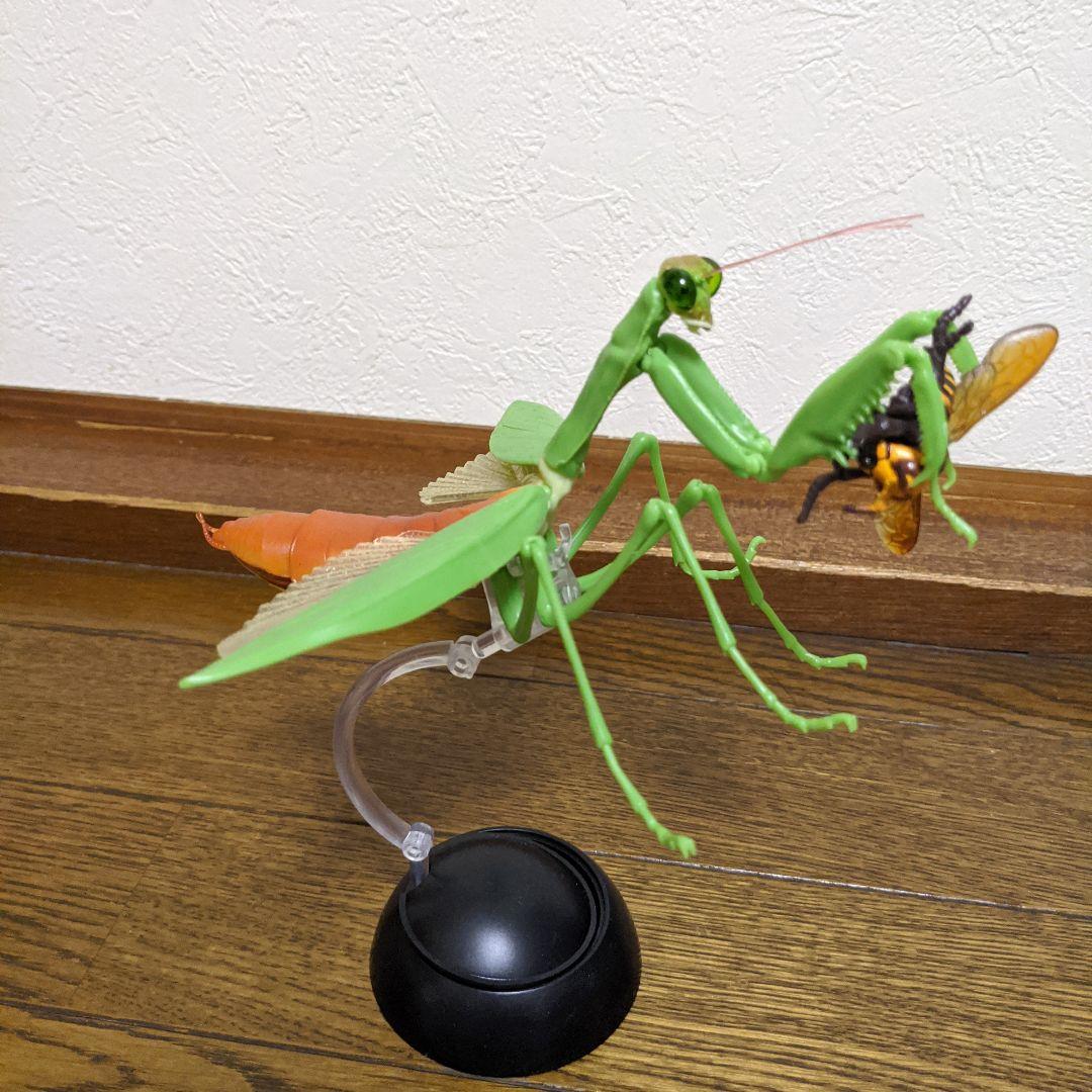 まとめ売りのみ‼️】だんごむし すずめばち かまきり 多数 大量の