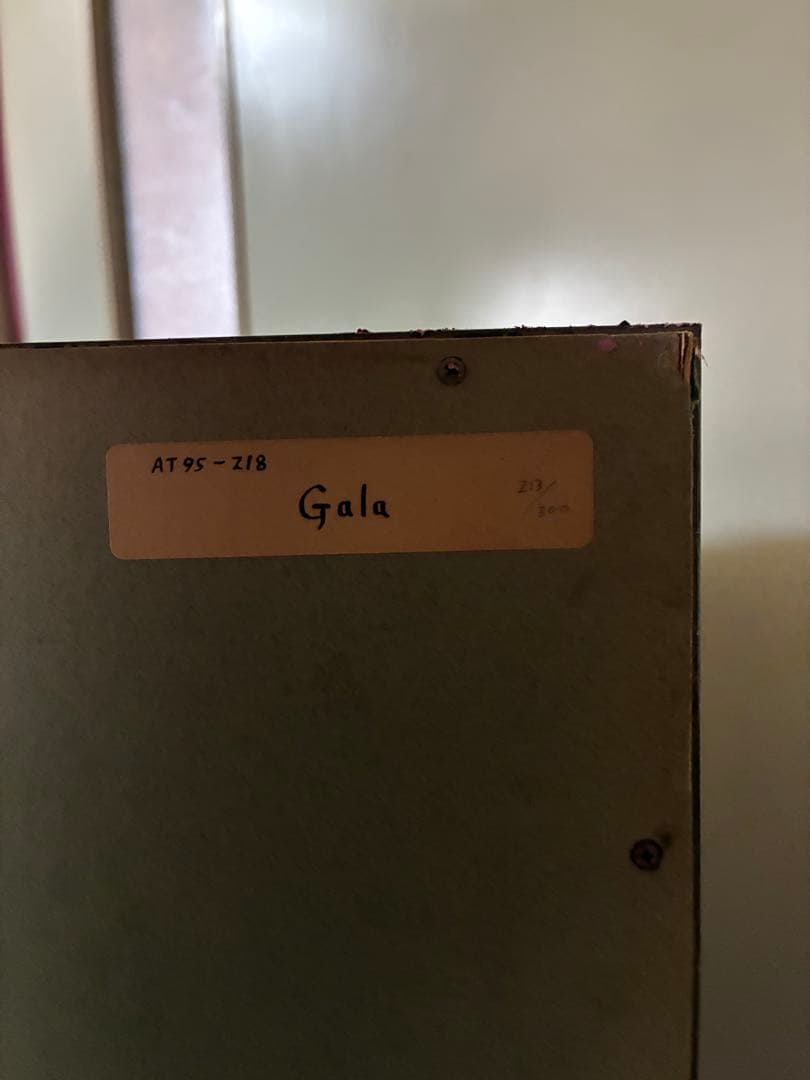 「Gala (ガラ)」・「オペラ座」の版画　2枚セット　限定品