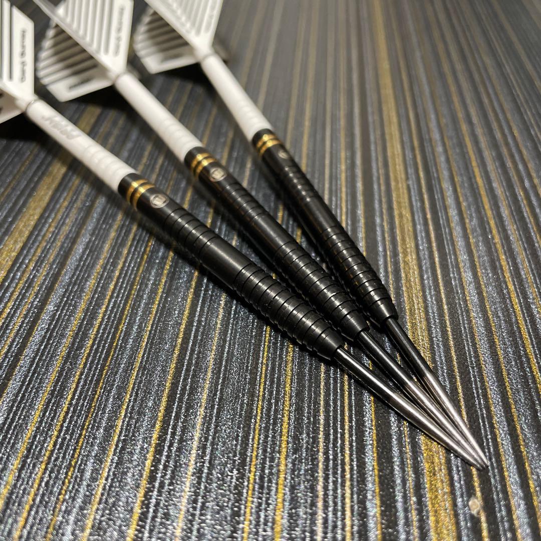 定価11800円 スティールダーツ ハードダーツ ダリルガーニー 23g