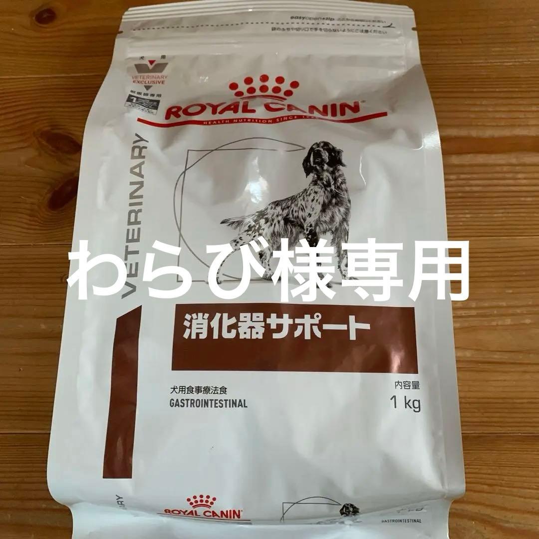 HACHI アニミューン 療法食 4パック