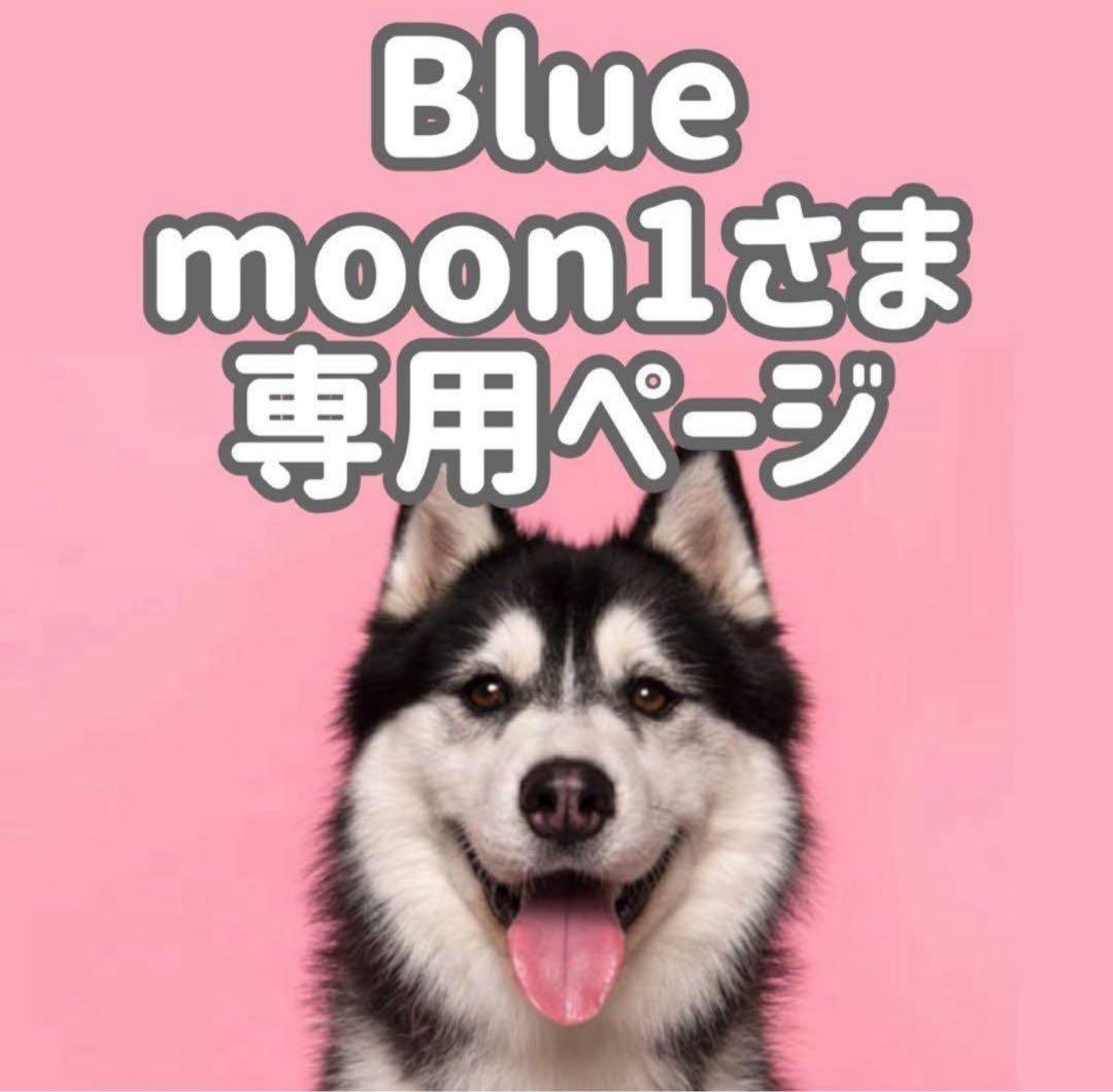 GFチ10*2◯● Blue moon1ページ●◯ GFチ10*2◯○ Blue moon1ページ○◯ BLUE MOON BLUE ブルームーン