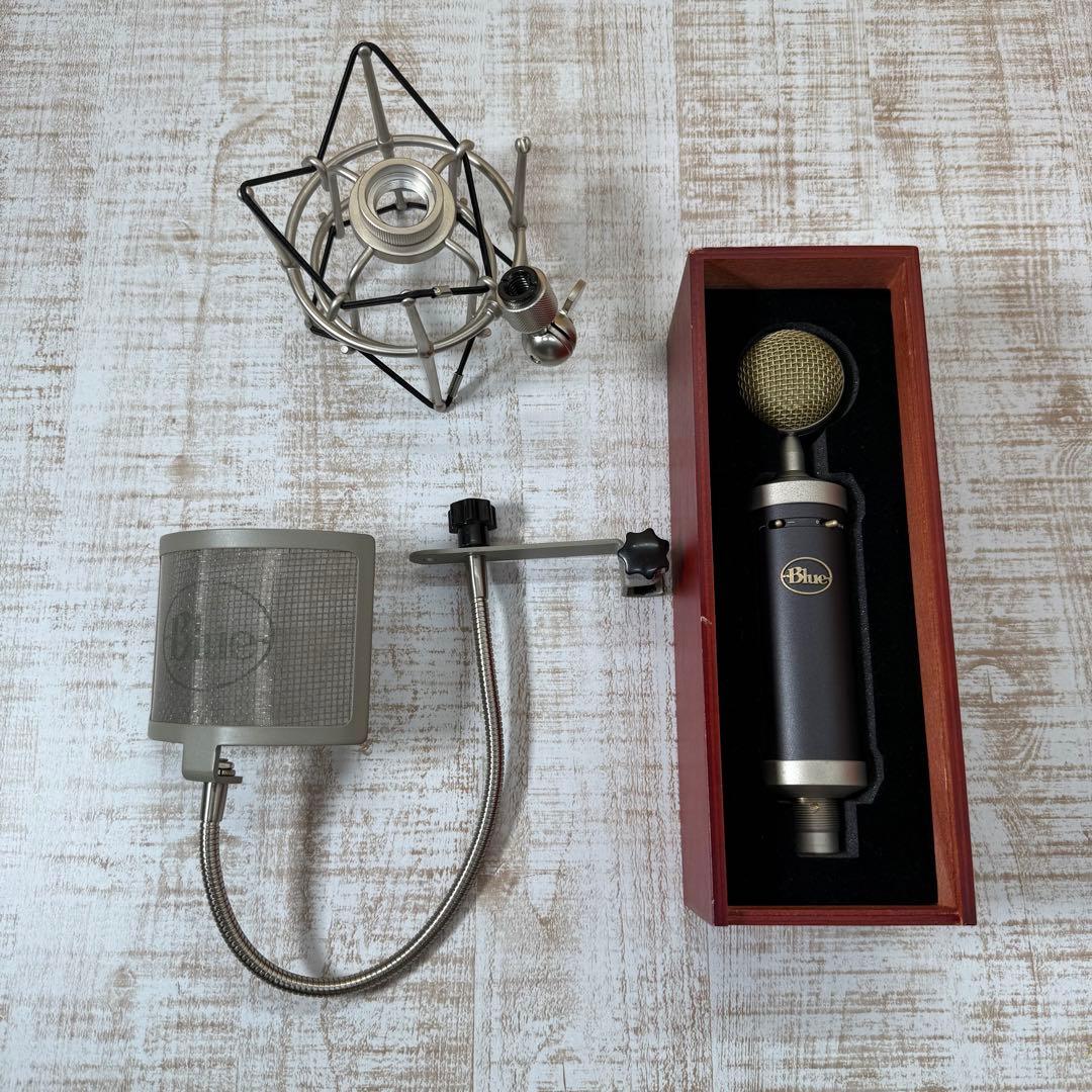 Blue( ブルー ) Baby Bottle SLコンデンサーマイク