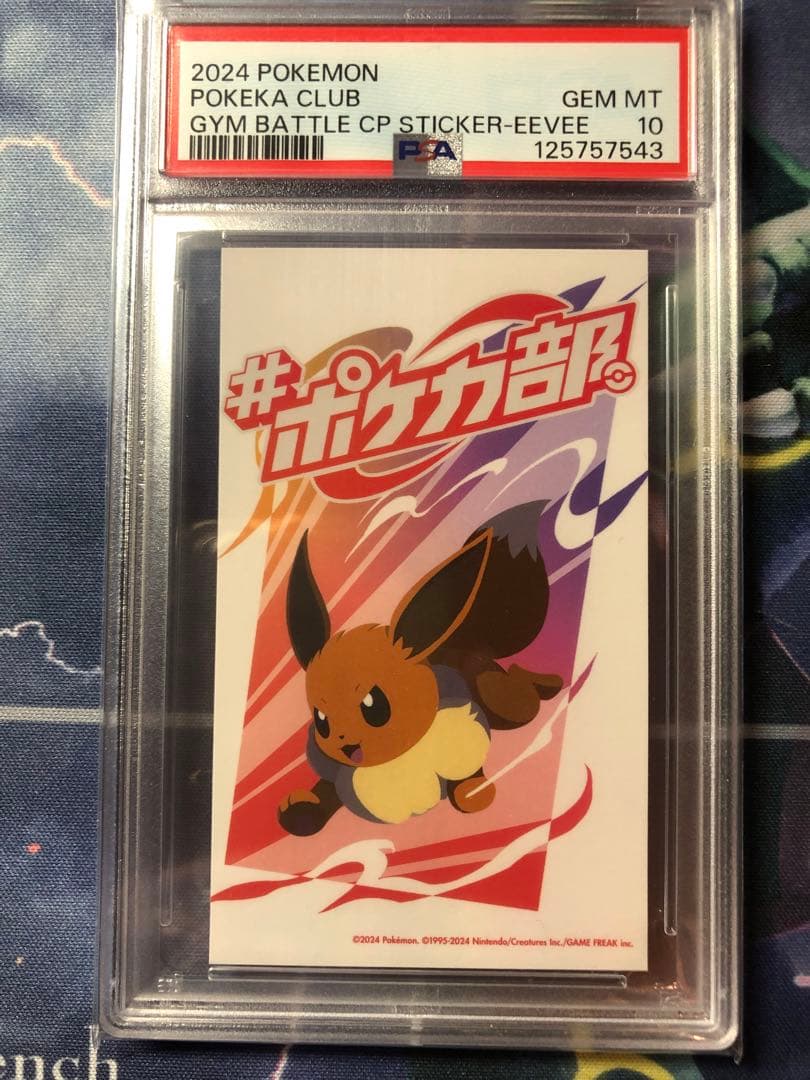 希少　PSA10 連番セット　ピカチュウ イーブイ　ブラッキー　ポケカ部　レア