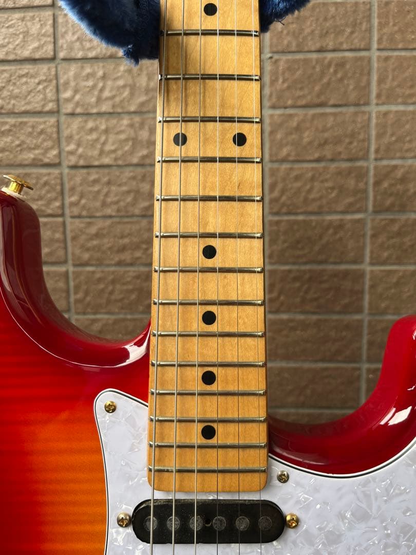 動作◯】 シェクターネック コンポーネントギター