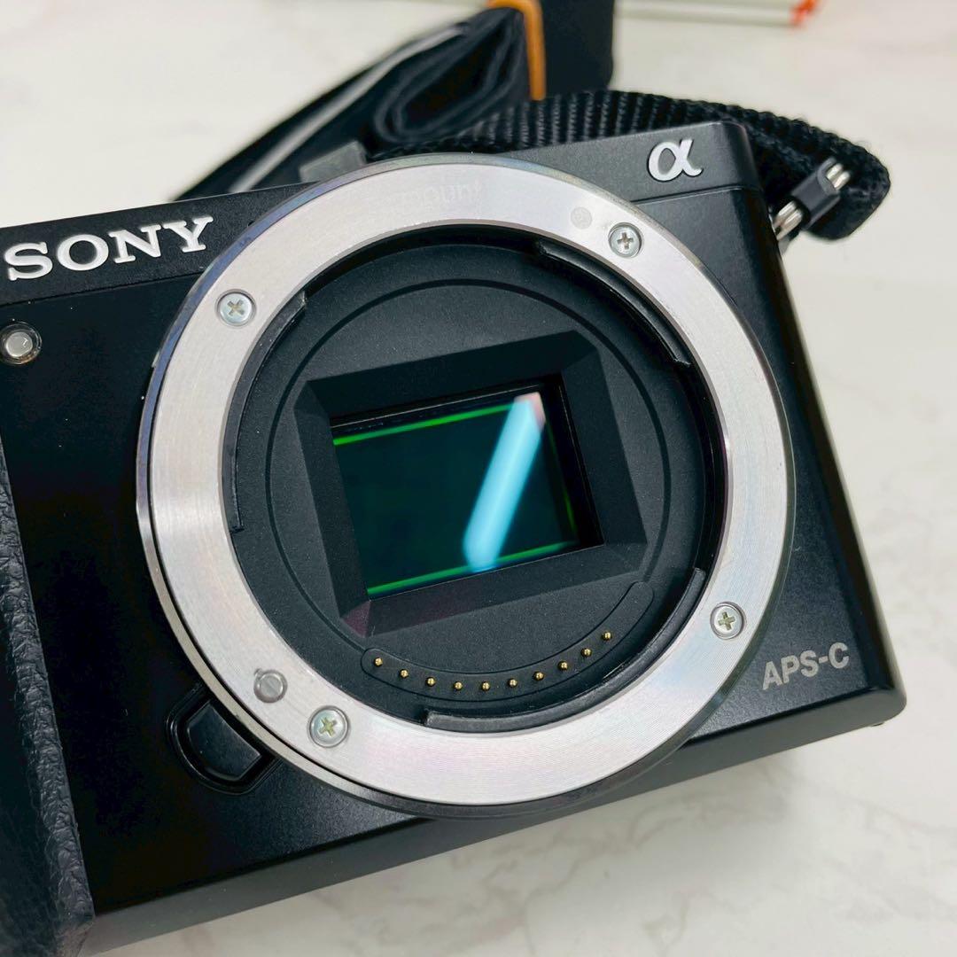 SONY α6000 ILCE-6000 ボディ ショット数11,205枚 SONY α6000 ILCE