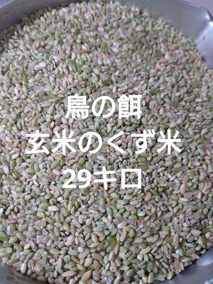 鳥類 小動物用飼料 砕け米 29キロ