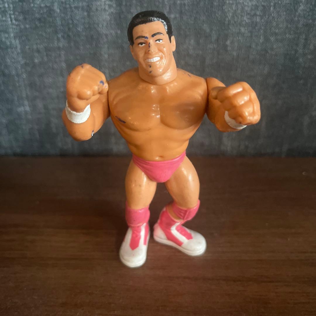 WWFプロレスラー ハズプロフィギュアセット 10体