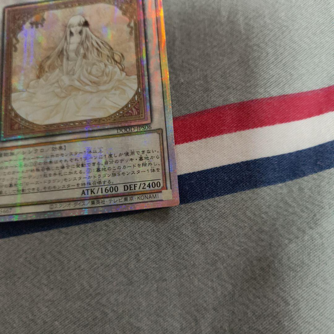 アジア キツあり 遊戯王　ガーデン・ローズ・メイデン　プリズマ　プリシク　絵違い