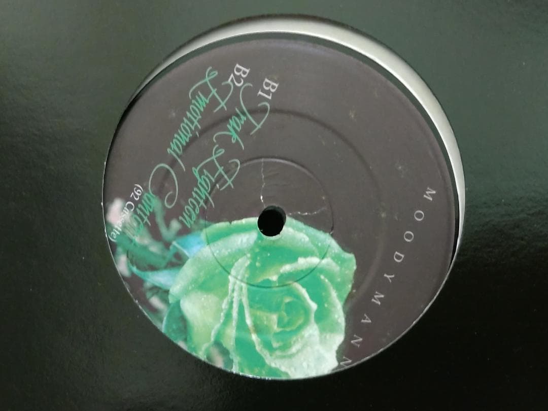 Peacefrog （4枚セット） レコード レーベル TECHNO テクノ