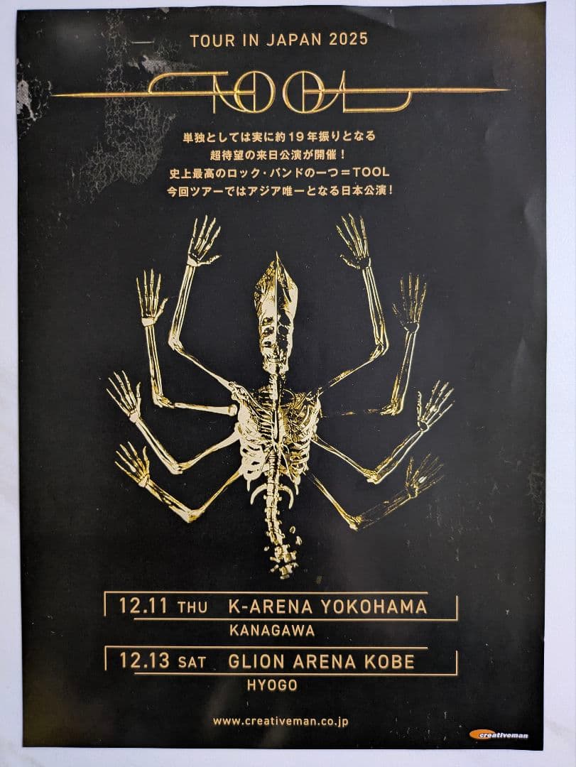 【未着用】TOOL 2025 ツアー Tシャツ Lフライヤー付
