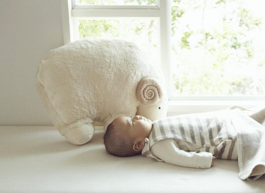 ヒツジ　枕　クッションオーガニック　 PRISTINE (プリスティン)