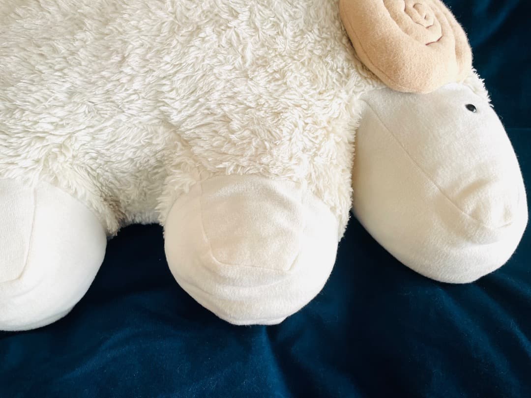 ヒツジ　枕　クッションオーガニック　 PRISTINE (プリスティン)