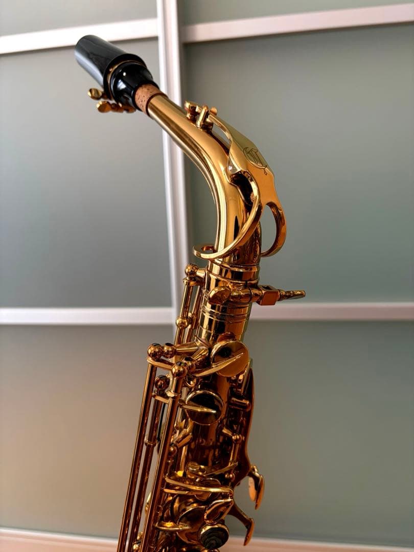 【定価42万円越え】アルトサックス　Cannonball　AScep-L