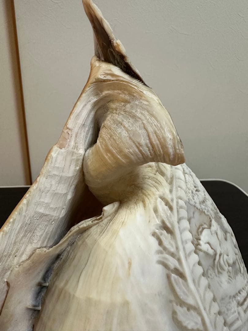 シェルランプ アンティーク 貝殻の彫刻ランプ カメオ