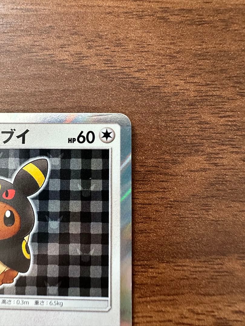 ポンチョを着たイーブイ (ブラッキー)