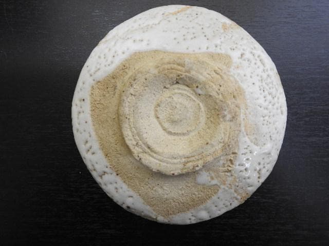 清水公照　志野茶碗　千深箱書　二重箱　MA463