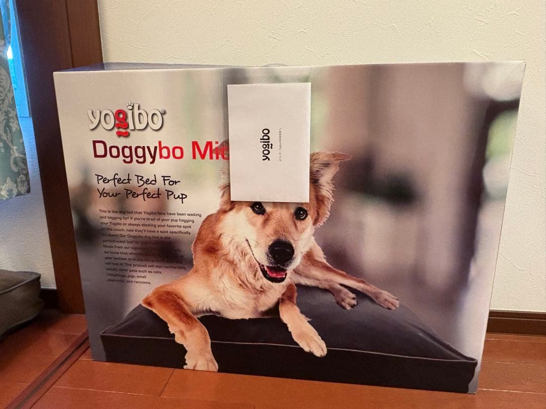 ドギボー midi チョコレートブラウン