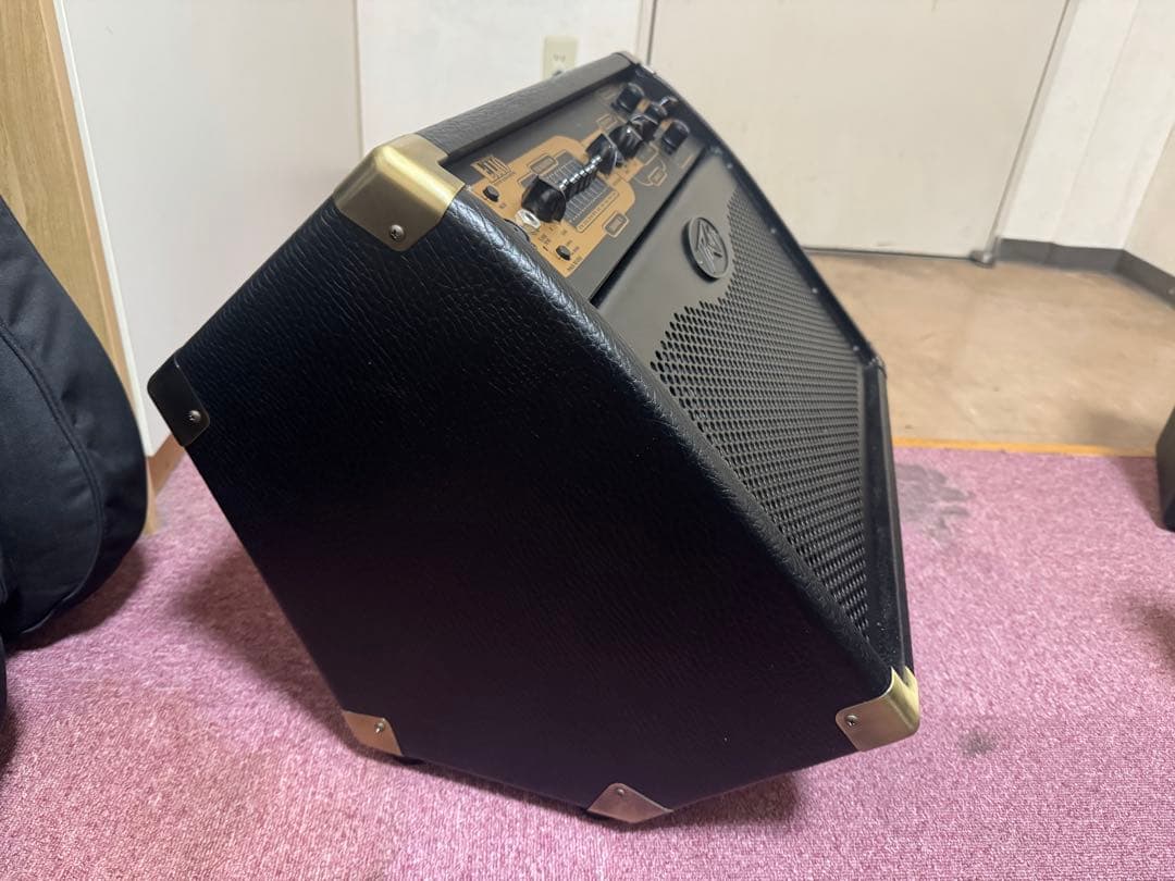 Peavey E110 アコースティックギターアンプ