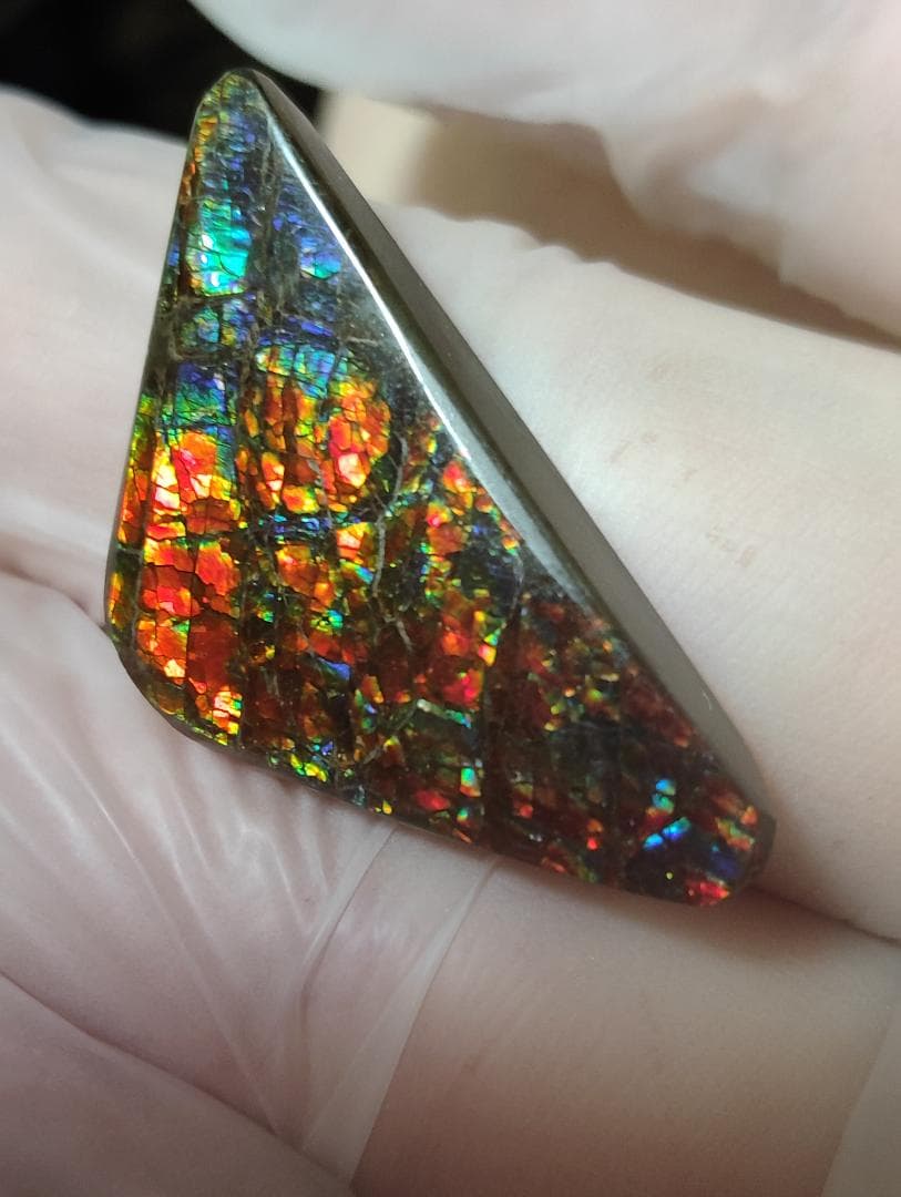 アンモライト　ルース　24-1414 23500 アンモライト ルース 24-1414 23500 アンモライト ルース 24-1414