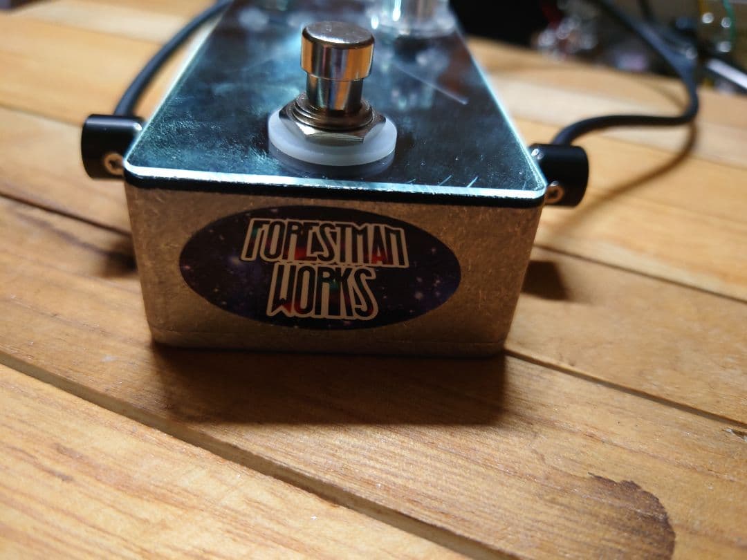 Forestman works】Eagle touch the sky