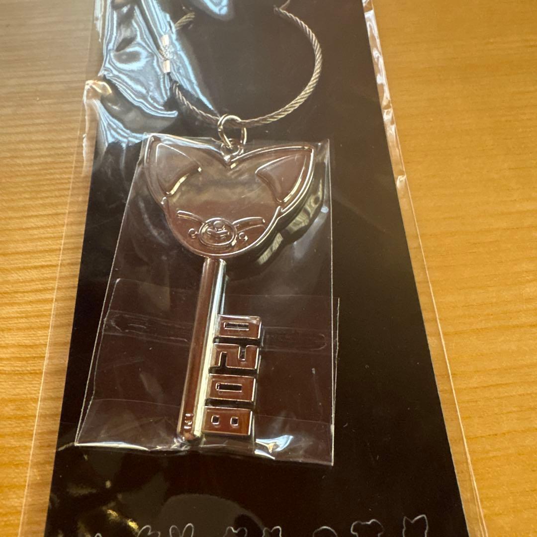 Stray Kids スキズ 鍵風キーホルダー フォクシニー - メルカリ