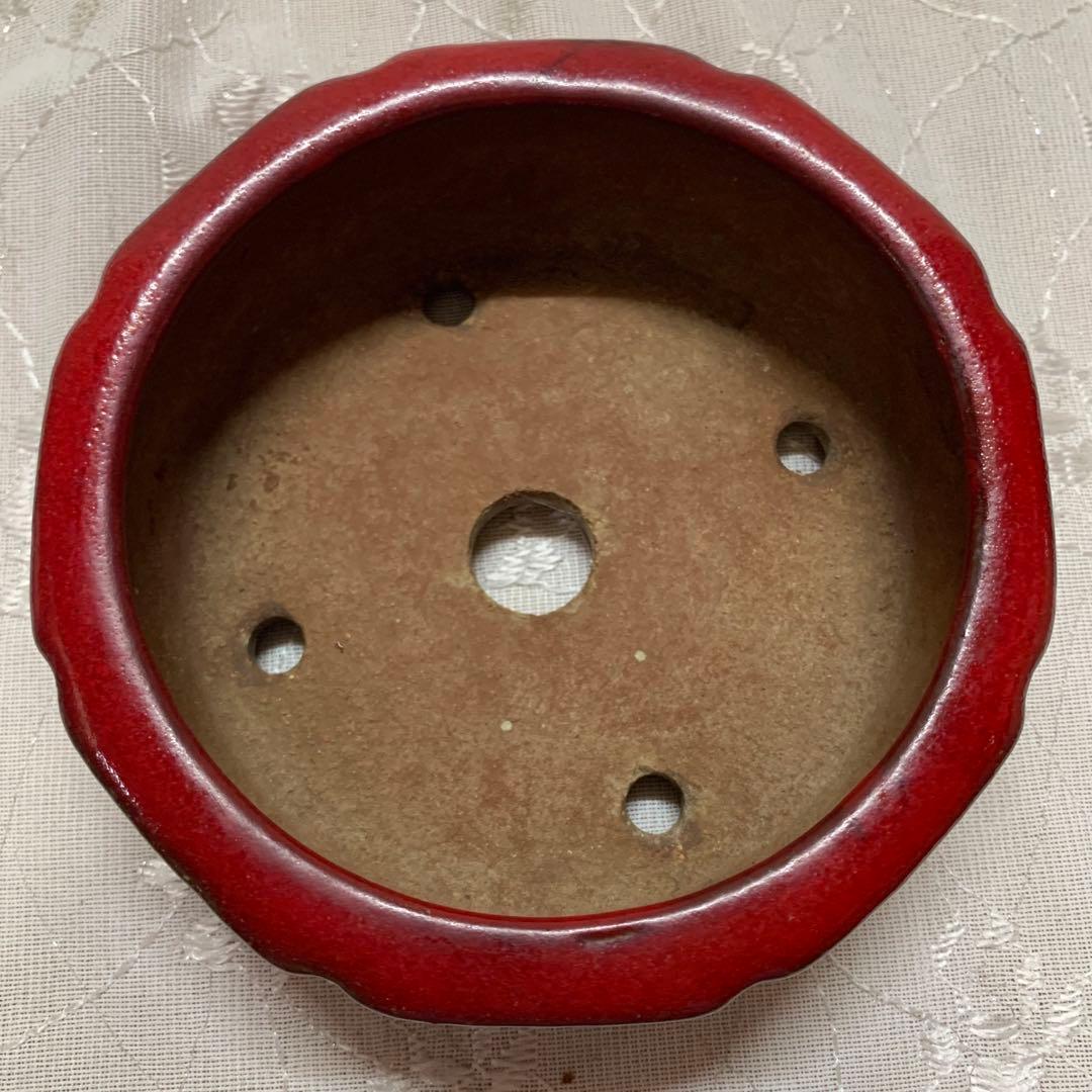 燿山 赤 丸 盆栽鉢