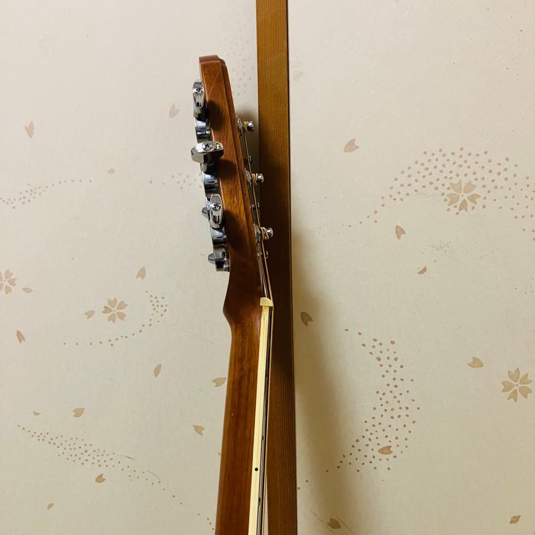 【GOTOHペグ交換】エレアコAPPLAUSE AE 36