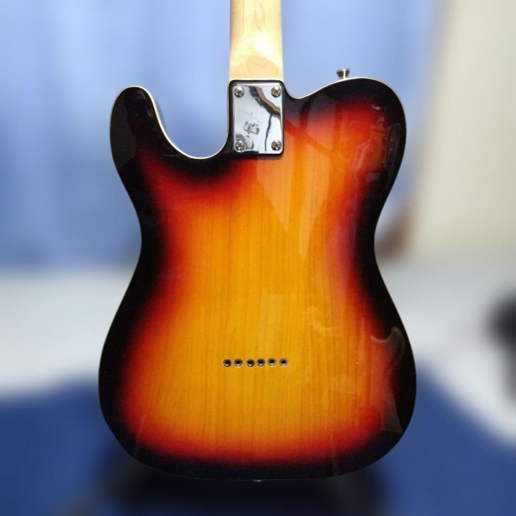 S*S様 Bacchus テレキャスター UNIVERSE SERIES