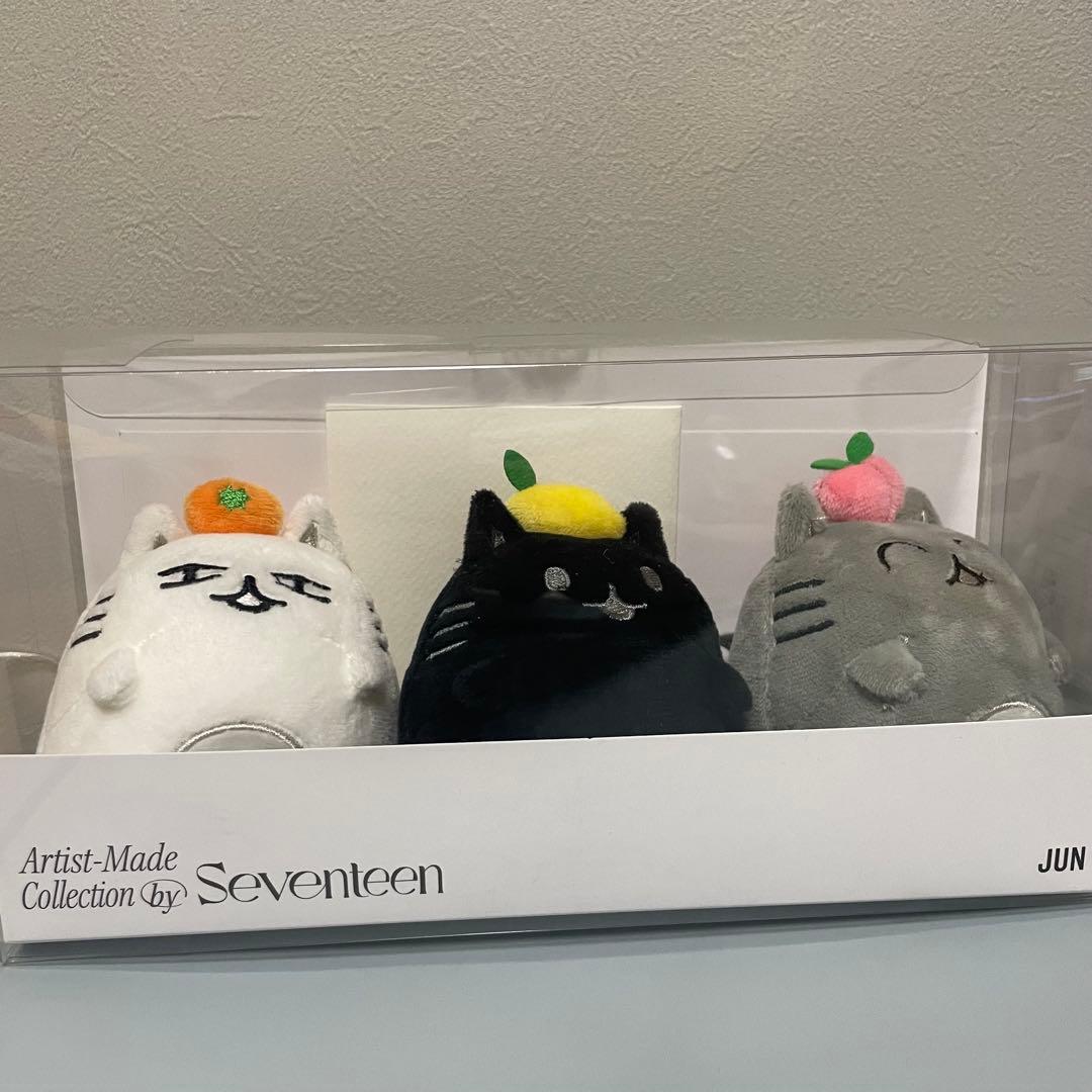 Seventeen アーティストメイド ジュン