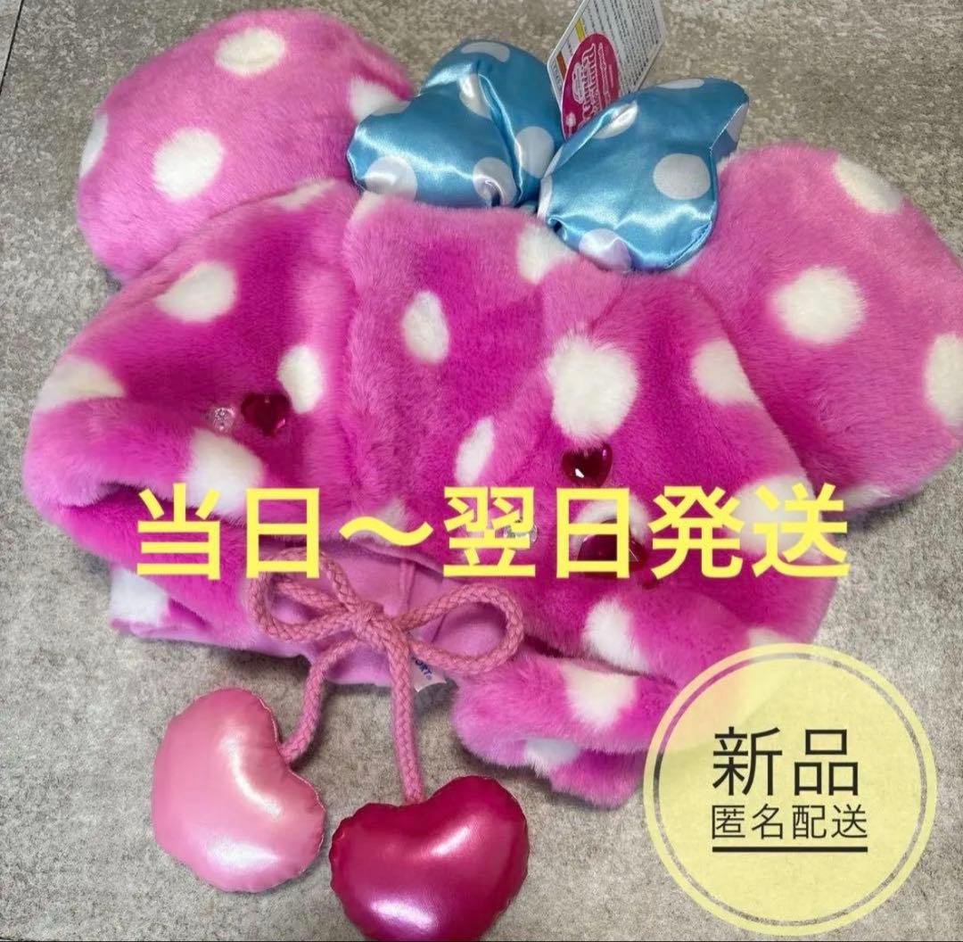 ディズニー パルパルーザ ミニー ファンキャップ ファンダーランド2026