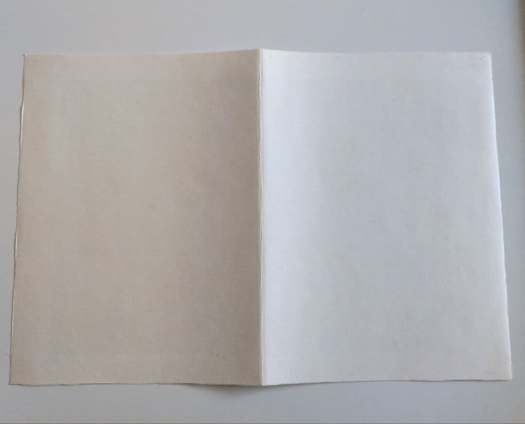 シャガール リトグラフ集 デリエール・ル・ミロワール No.246