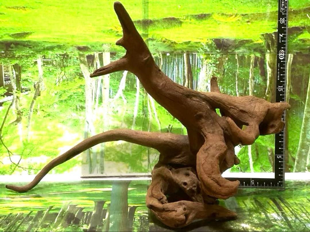 モスキート様専用4点 天然水槽用流木