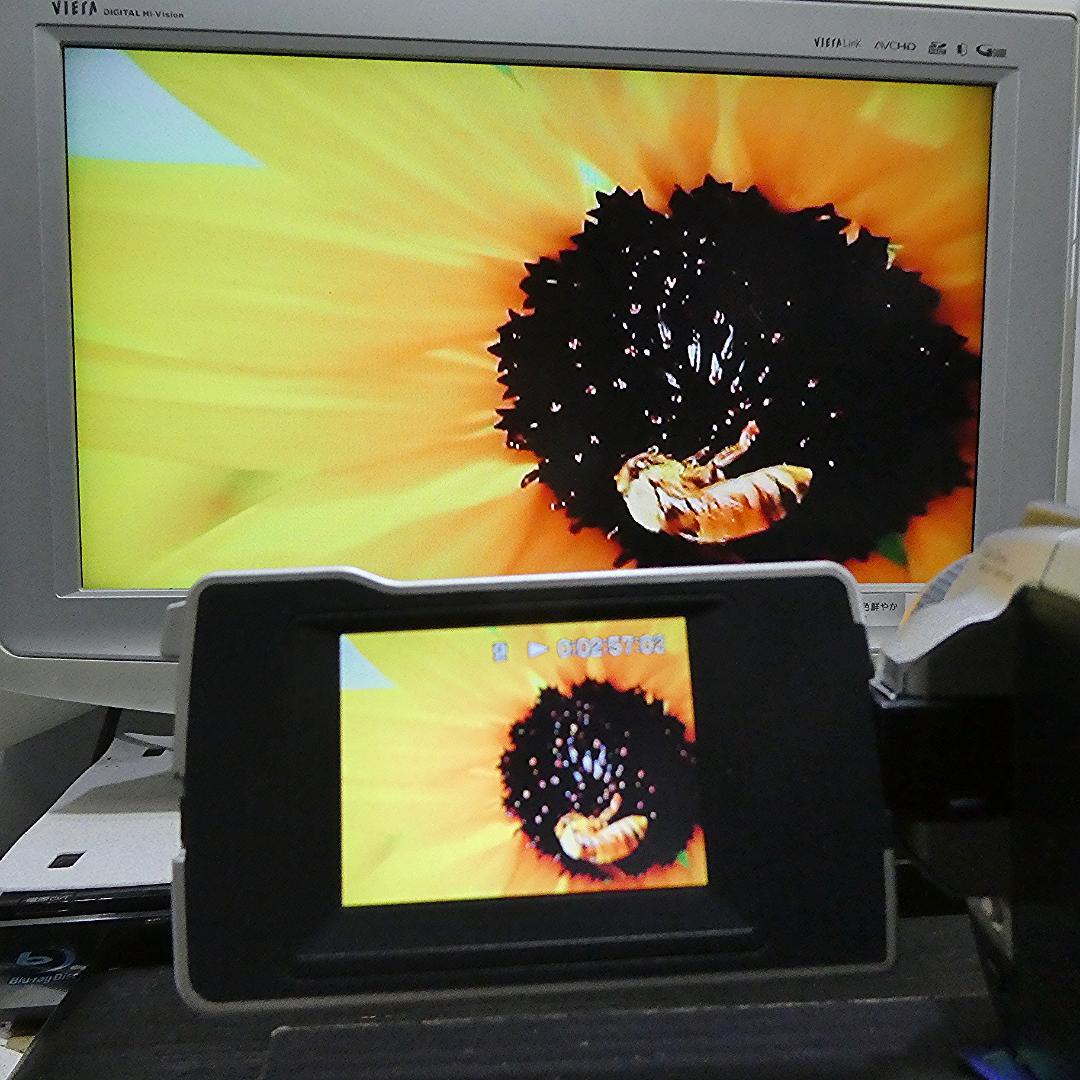 動作品ソニー DCR-TRV18 MiniDVビデオカメラ　DVDダビングに最適