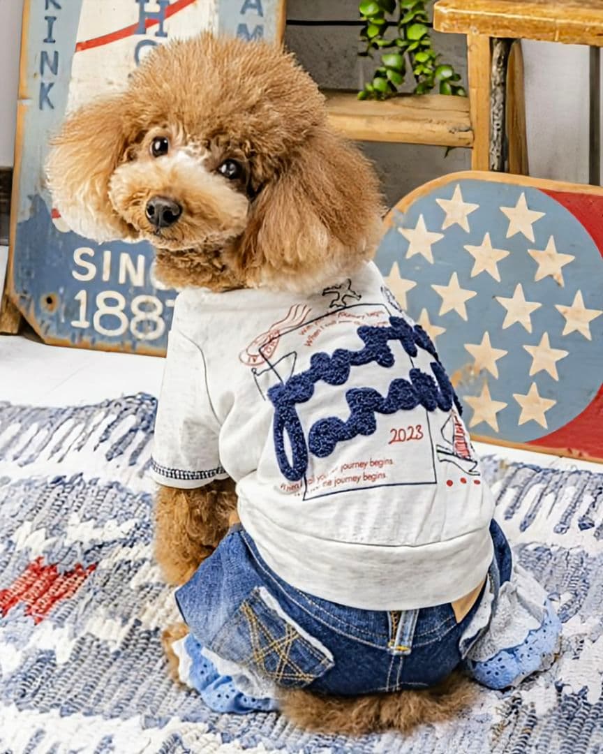 新品タグ付き レース☆デニムPT asknowasdewan アズノウアズデワ