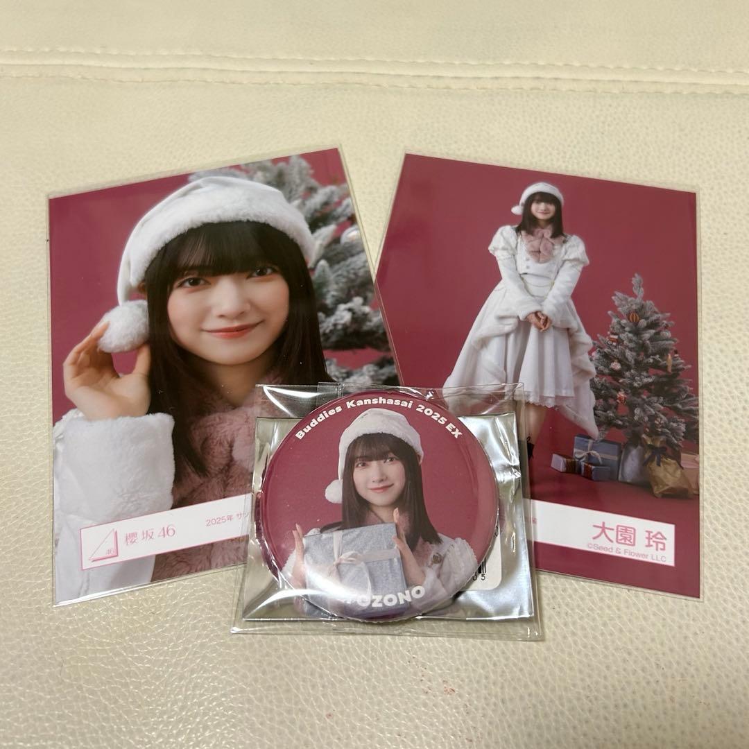 大園玲 櫻坂46 缶バッジ、生写真 サンタ衣装 - メルカリ