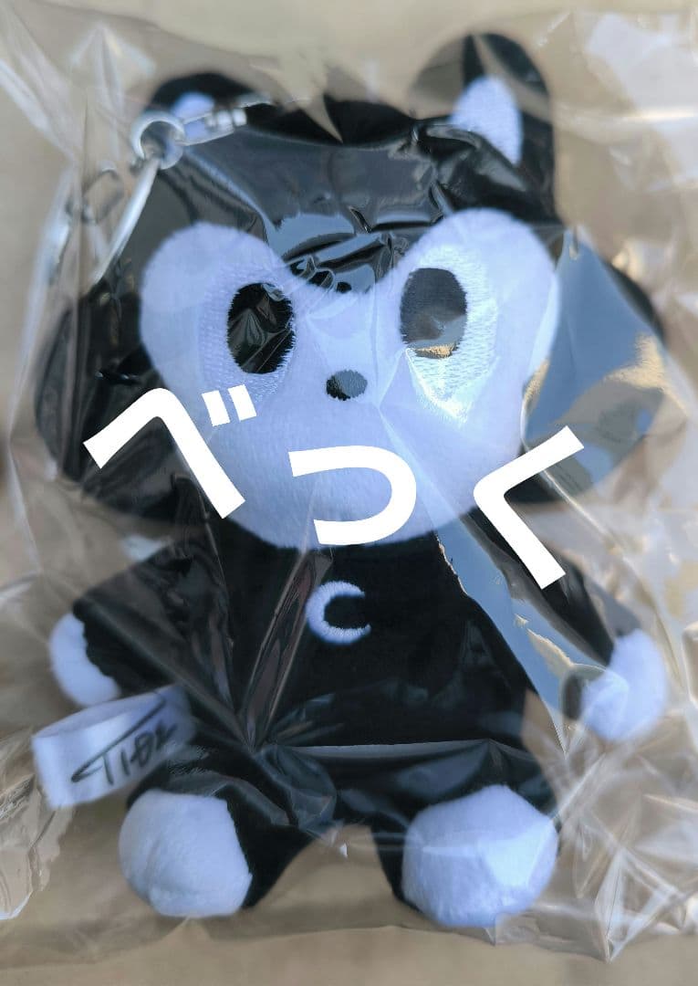 断捨離処分‼︎】 【21枚セット!!】ブロマイド 48グループ AKB