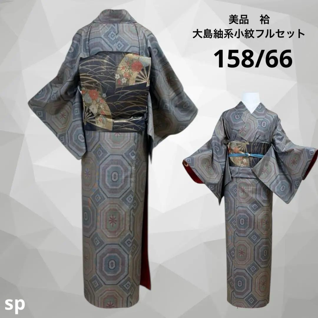 未使用近い 美品 袷 正絹 大島紬系 小紋 フルセット - 着物・浴衣快適