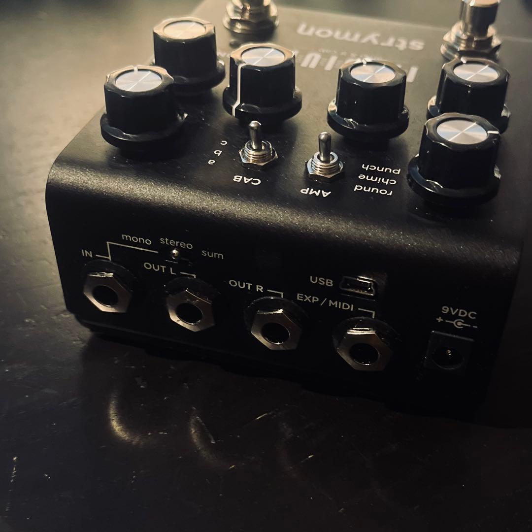 Strymon Iridium (箱、ケーブル類あり)