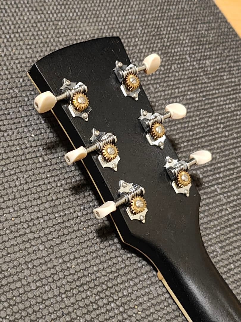 Ibanez PN14-WKオールマホガニー/ソフトケース