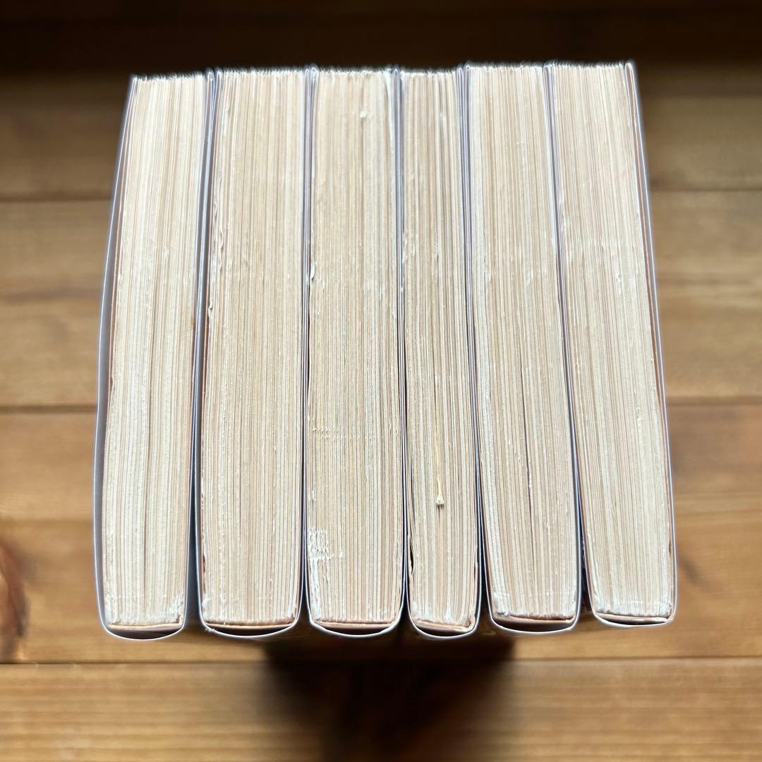 作家の日記 ドストエフスキー 全六冊セット