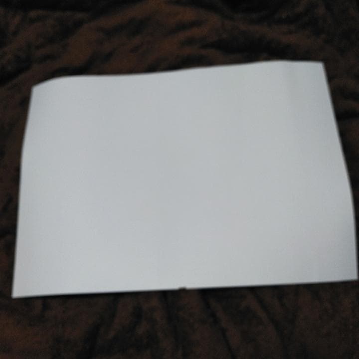 グラサイ キッチン ランチョンマット 第10弾