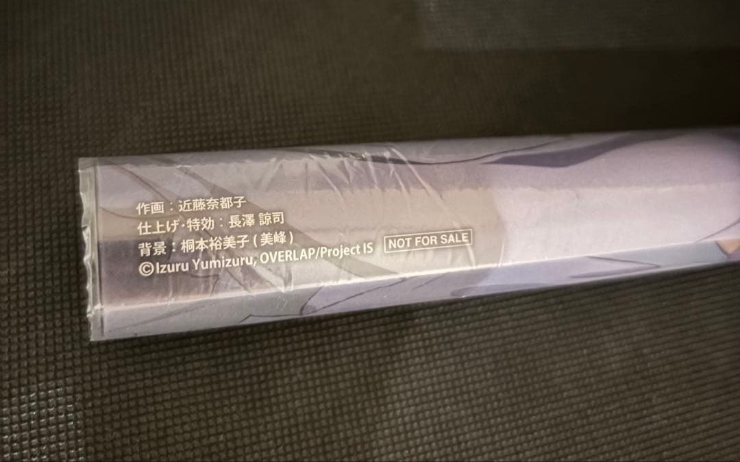 シャルロット・デュノア　A3クリアポスター　インフィニット・ストラトス